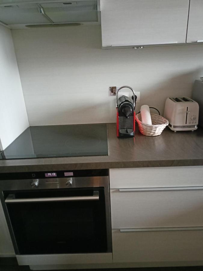 Opaline T3 Lumineux Avec Patio Et Parking Prive Apartman Dunkirk Kültér fotó